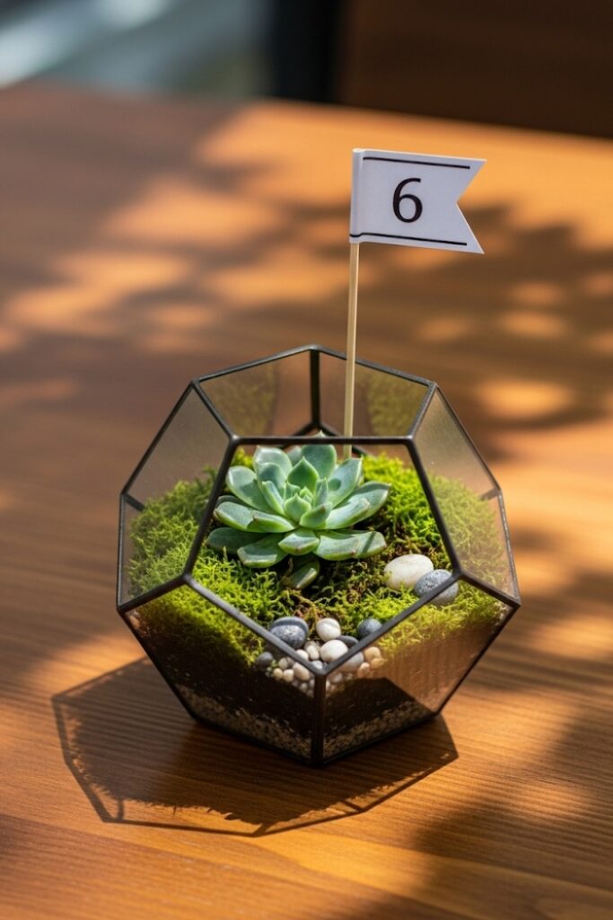 Terrarium Table Numbers